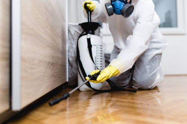 Best Residential Pest Control  in Tecumseh, NE