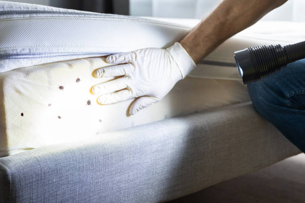 Best Local Pest Control Services  in Tecumseh, NE
