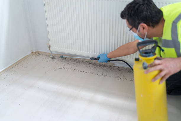 Best Termite Control Services  in Tecumseh, NE