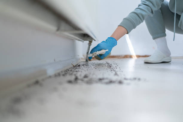 Professional Pest Control in Tecumseh, NE